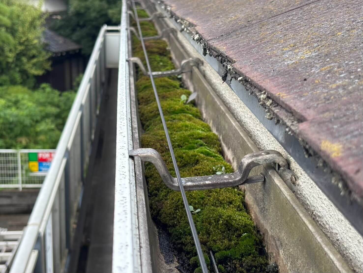 苔や汚れが大量に堆積した住宅の軒樋